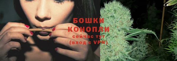сатива Корсаков