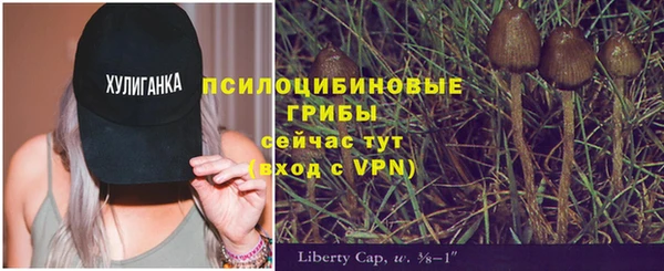 амф Сафоново