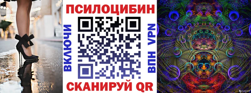 купить наркоту Сосенский Галлюциногенные грибы мицелий